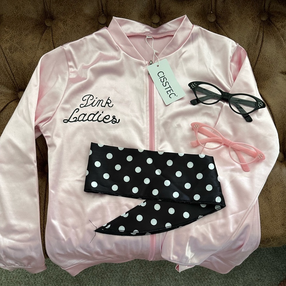 Pink ladies costume